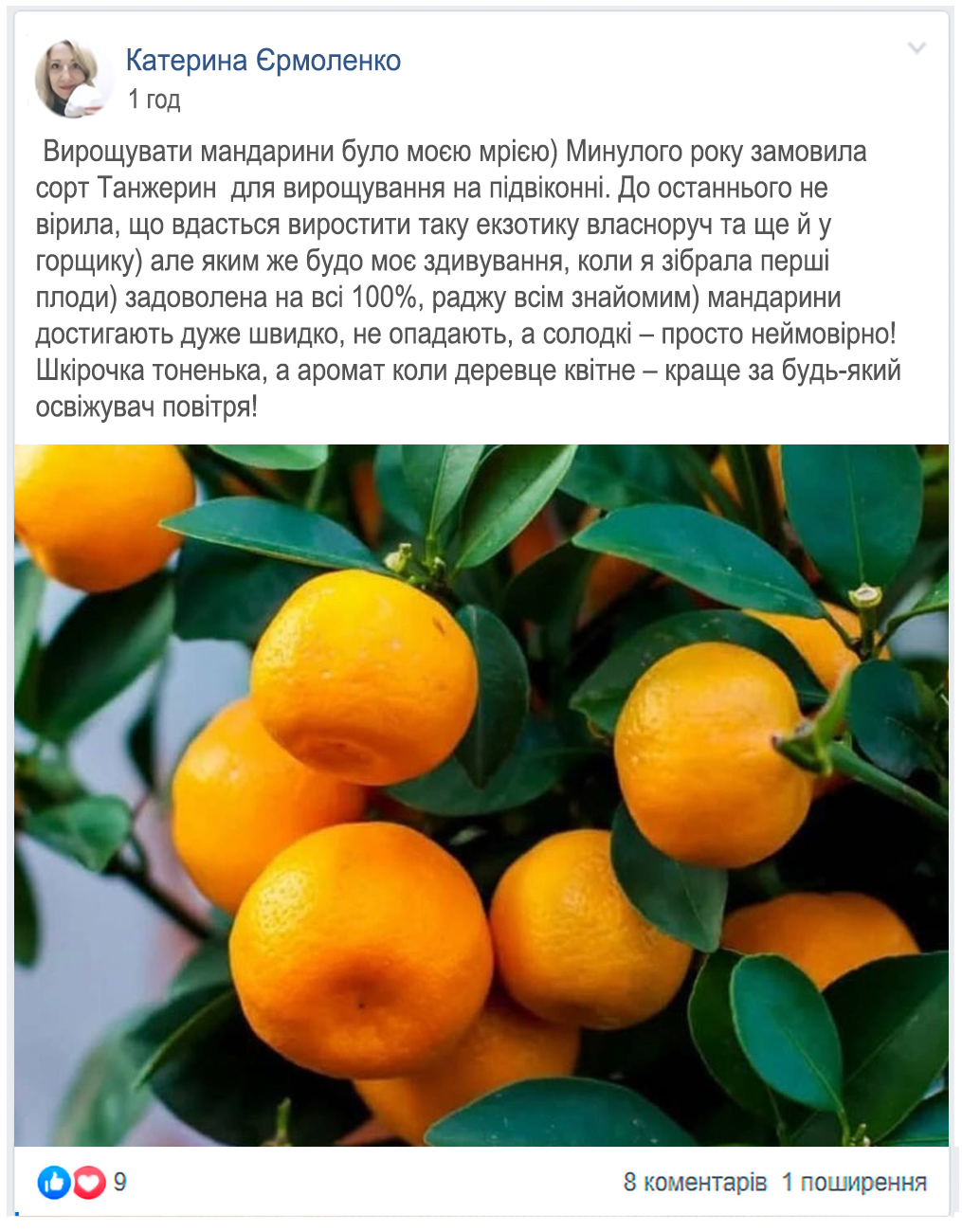 Заголовок