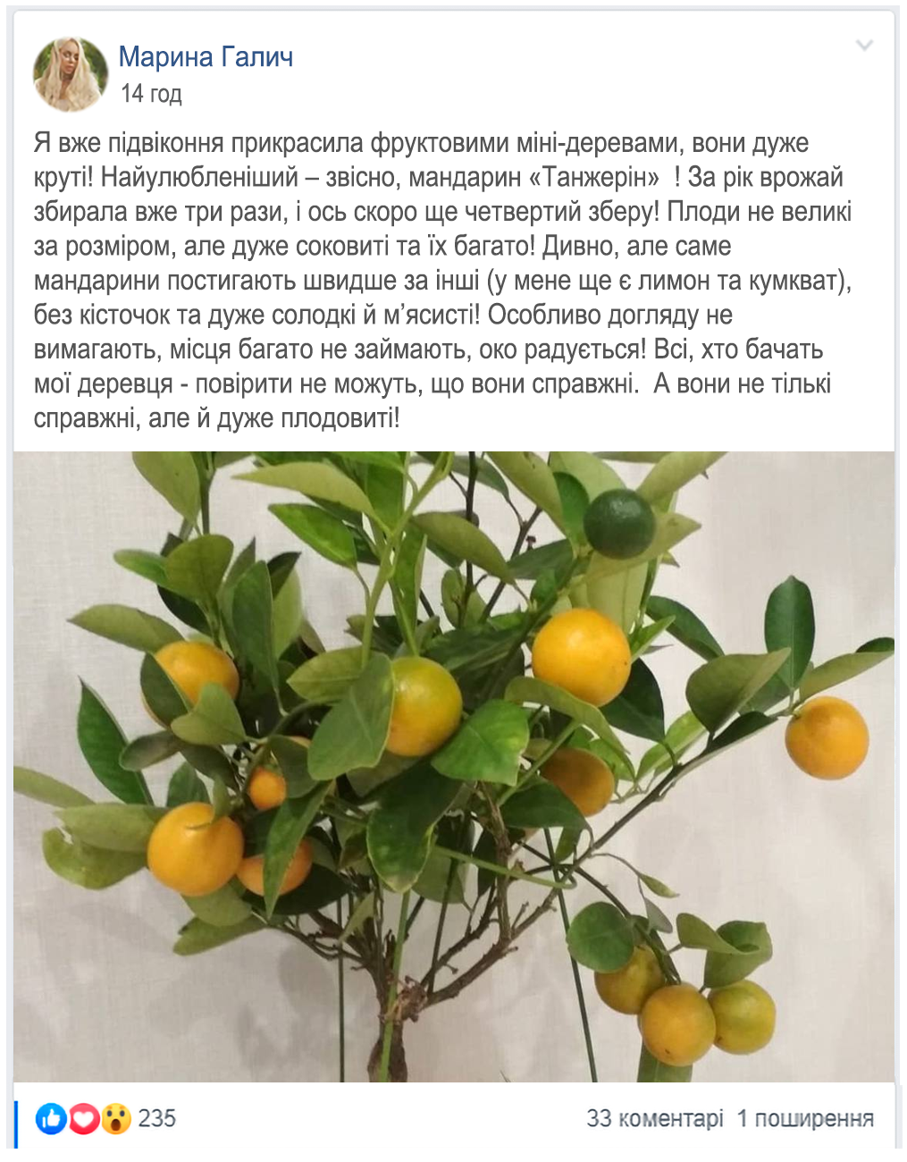 Заголовок
