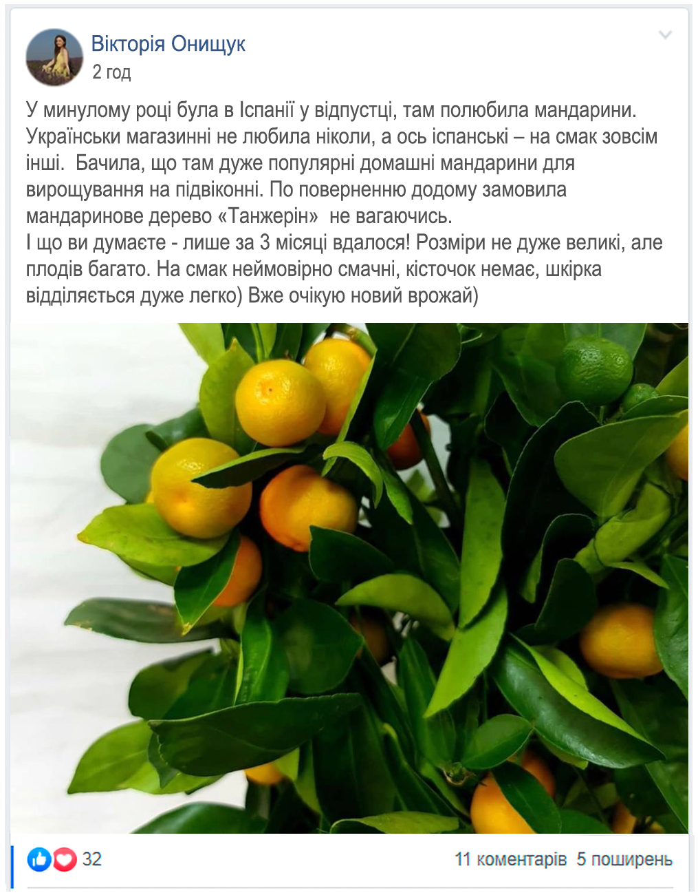 Заголовок