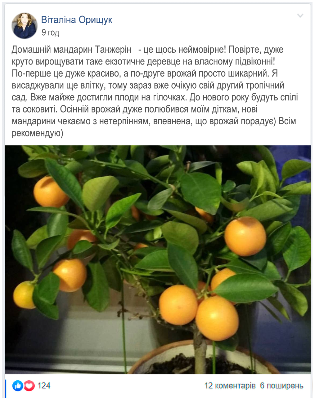 Заголовок