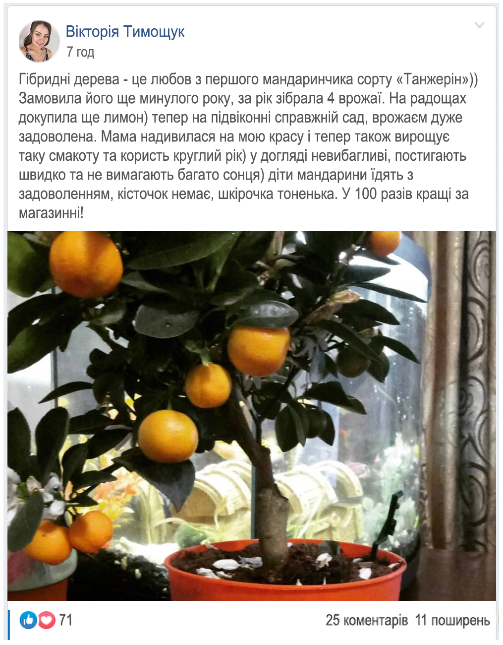 Заголовок