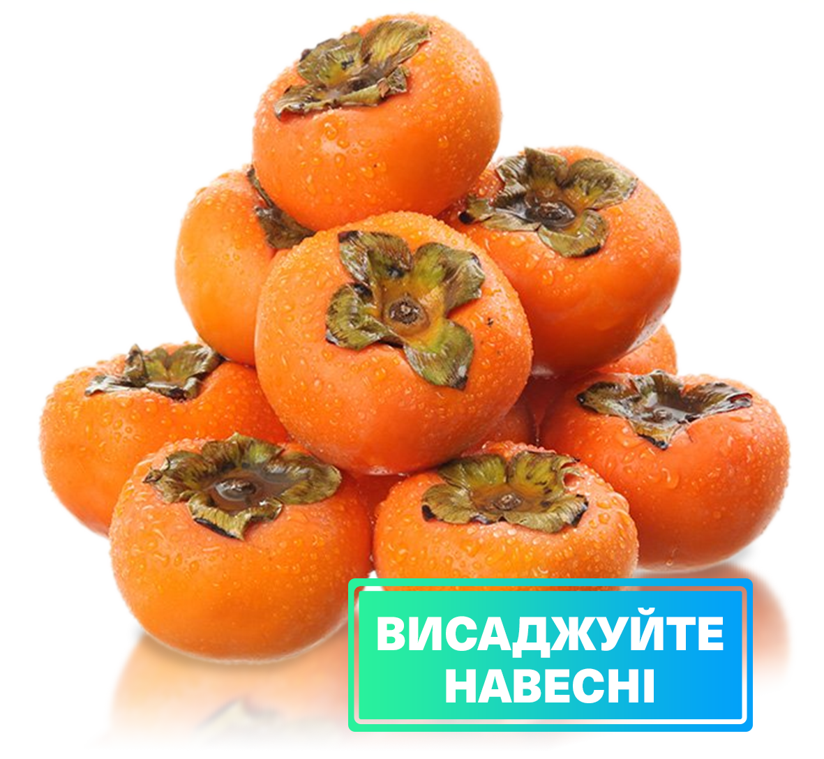 Заголовок