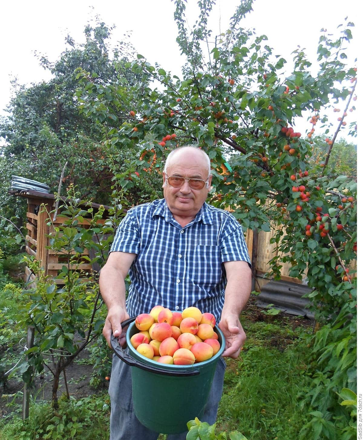 Заголовок