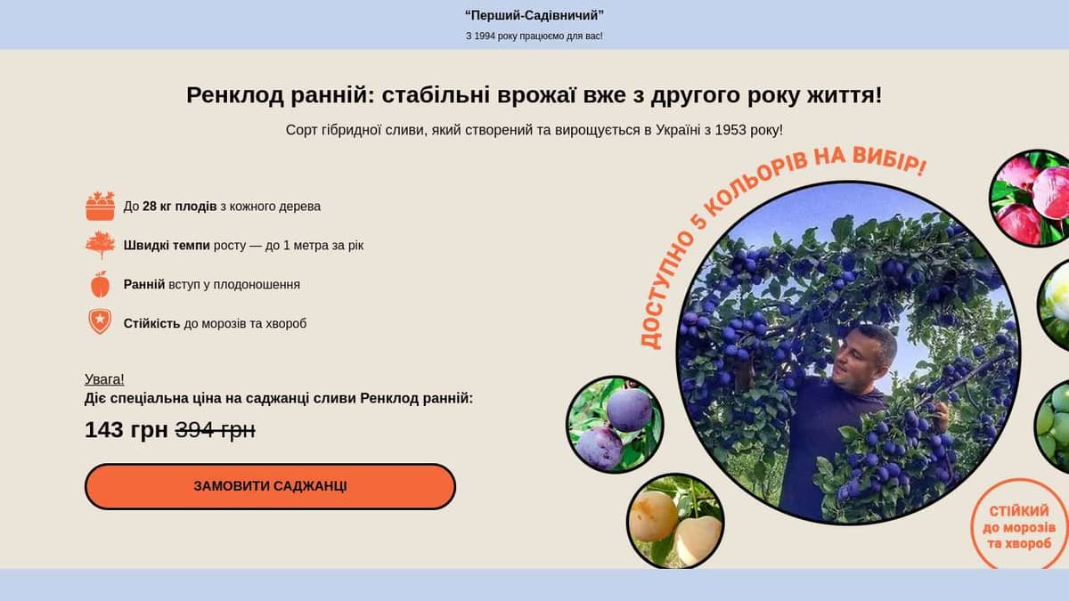 Ренклод ранній: стабільні врожаї вже з другого року життя!