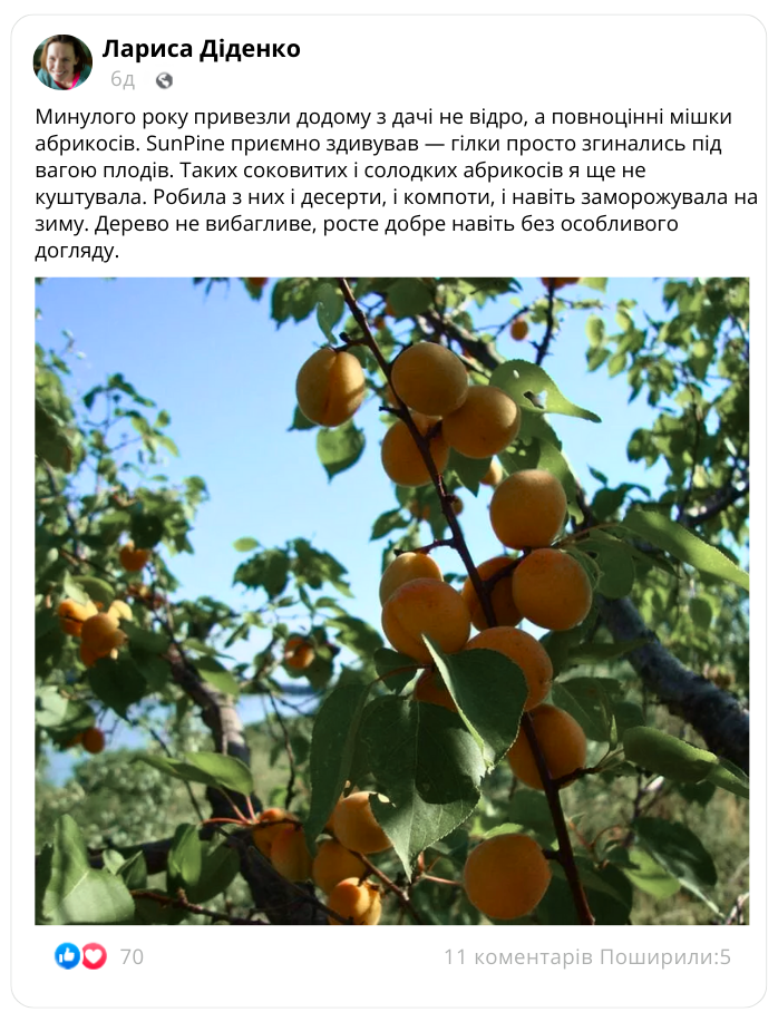 Заголовок