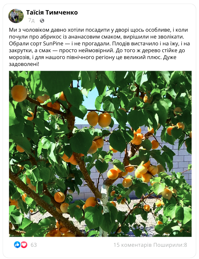 Заголовок