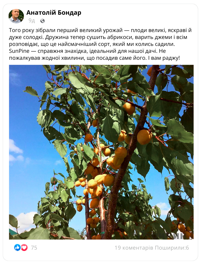 Заголовок