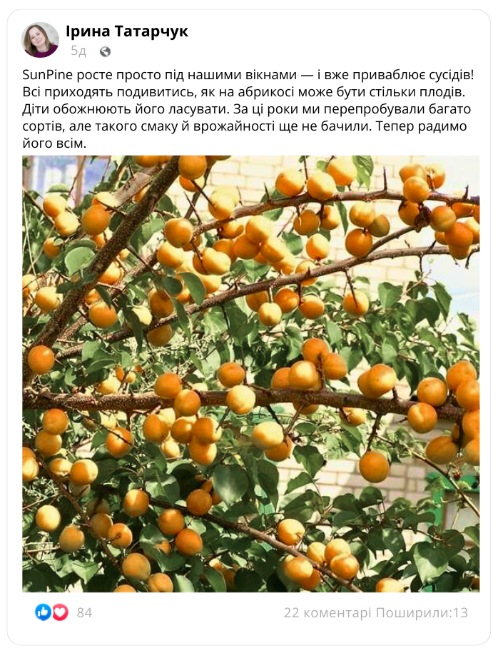 Заголовок