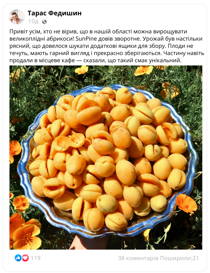 Заголовок