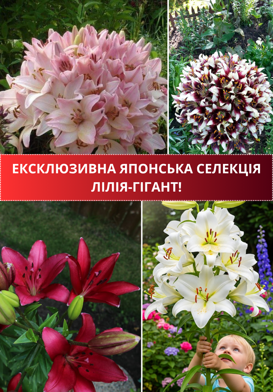 Заголовок