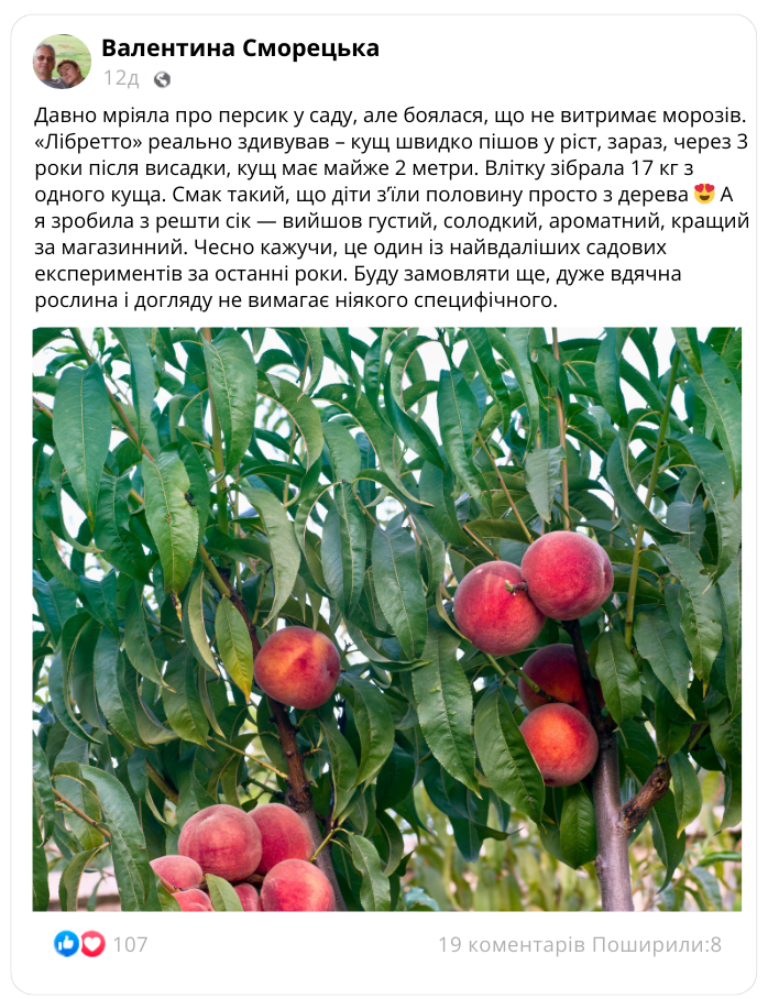 Заголовок